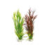 Rosewood Sydeco Wild M/Tain 39Cm
