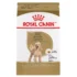 Royal Canin® Breed Health Nutrition® Poodle Breed Specific Adult Dog Dry Food
