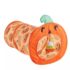 Thrills & Chills Fishbone Pop-Up Tunnel Cat Toy