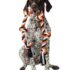 Thrills & Chills Knot Scary Knotted Rope Dog Toy