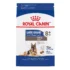 Royal Canin Size Health Nutrition Large Breed Aging 8+ Senior Dog Dry Food - 30 lb