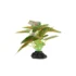 Thrive Leafy Green Plant