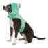 Thrills & Chills Monster Costume Harness and Vest